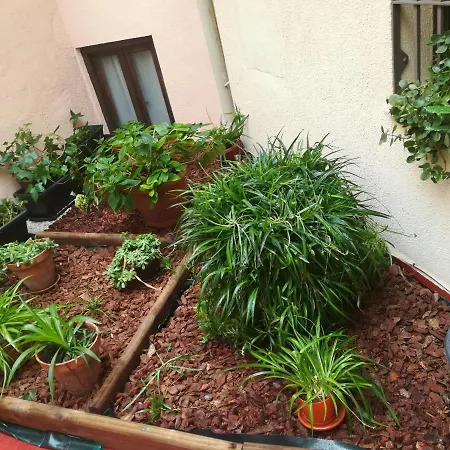 호스탈 라 캄파나 게스트하우스